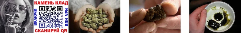 ГАШ Cannabis  Магас 