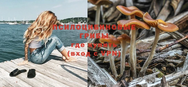 прущий лед Белокуриха