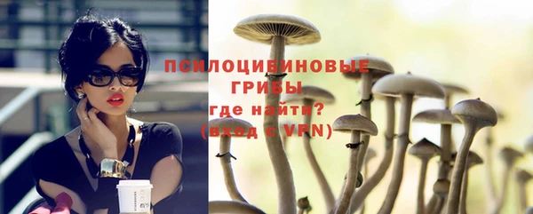 прущий лед Белокуриха
