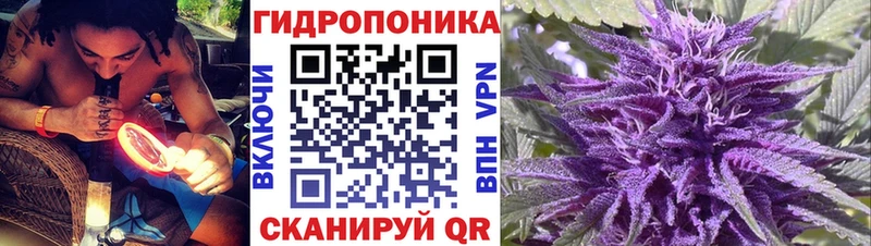 Шишки марихуана семена  Магас 